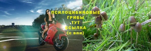 тгк Белокуриха