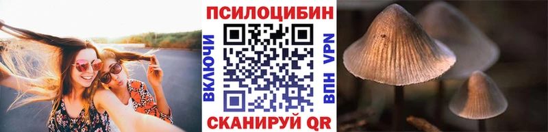 Галлюциногенные грибы Cubensis  где купить наркоту  Краснослободск 